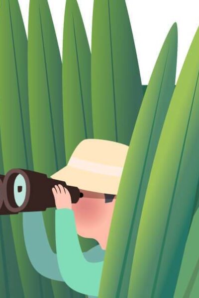 Cheap Flights, Airline Tickets, Flight Search