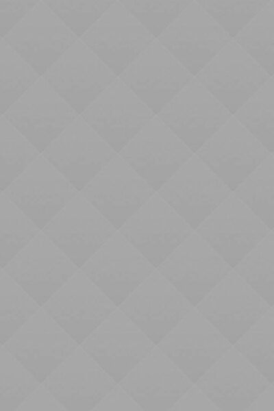 Surfing: Are Dolphins a Danger to Surfers?