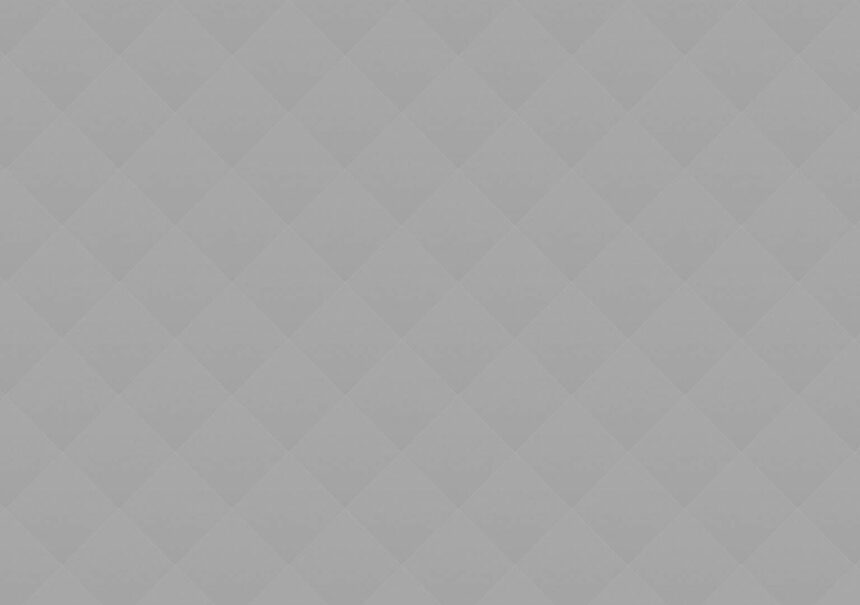 Surfing: Are Dolphins a Danger to Surfers?